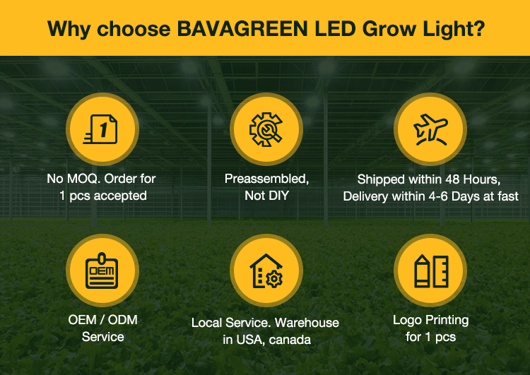 HPS CMH replacement 480w grow light bulb Samsung lm301b LED grow light for greenhouse 0