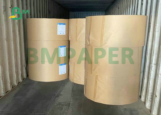 270Grs 290Grs Food Grade Ivory Board Paper For Food Container Making 95 x 130cm 