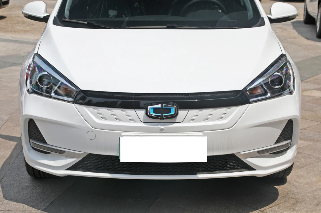 Raysince Good Quality Electric Car Adult Vehicle Wholesales Cheap Price Sedan Electric Car