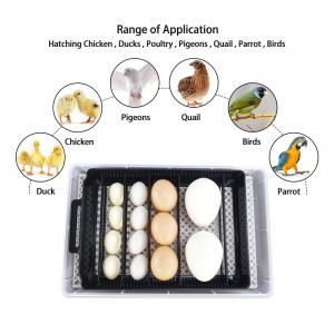 China 15 Poultry Egg Incubator 40W PE Egg Hatcher Incubators on sale 