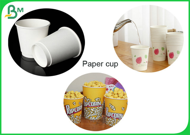 98% Whiteness 240gr +18g PE Cupstock Paper Roll Coating Matt PE For Paper Cup 