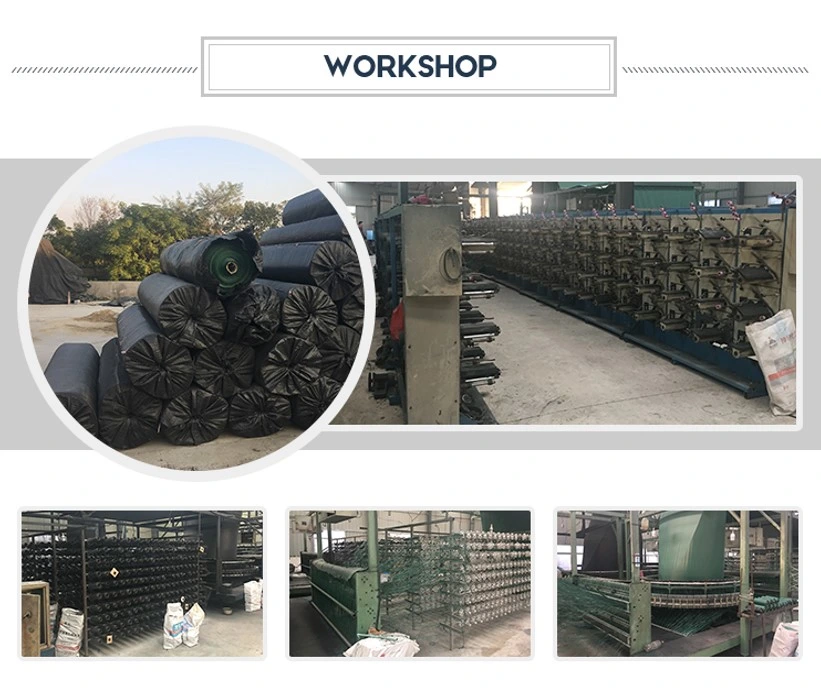 Certified Woven Fabric Stabilization PP Woven Geotextile for Soil Reinforcement