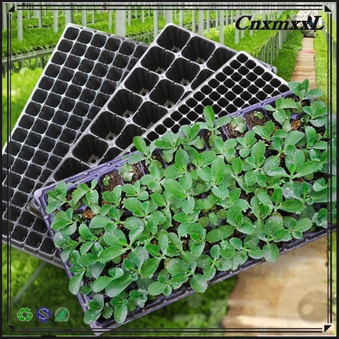 Wholesale 32 holes Plastic Seeding Tray Flower and Tree Seedings Growing Plastic Containers Cell Tray 3
