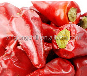 Affordable Prices Fresh/Dried Chili/Red Pepper