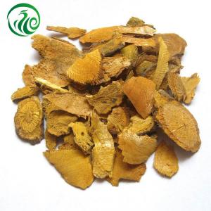 China Flaky Traditional Chinese Medicine Herbs Polygonum Cuspidatum For Turbidity on sale 