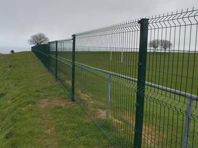 A dark green PVC coated welded 3D security fence with 3 curves is installed in a piece of farm land.