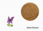 Brown Clove Flower Plant Extract Powder For Food Additive