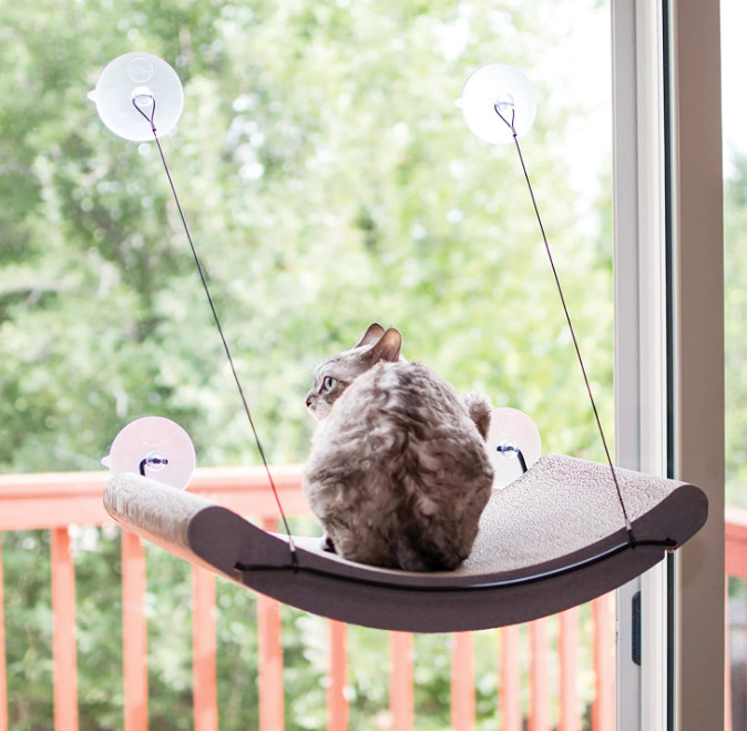 window mounted cat bed
