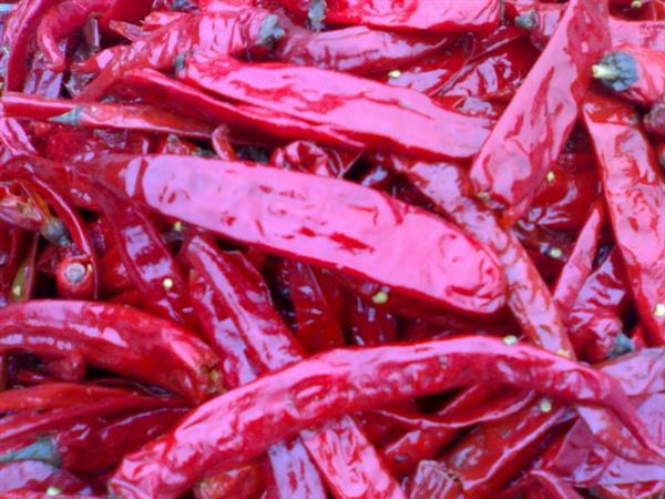 Halal certified chili factory produce long Xian chili