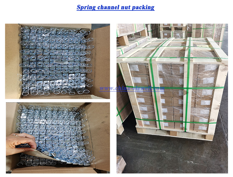 China Selling High Quality High Strength Square Nut with Spring Strut Channel Spring Nut
