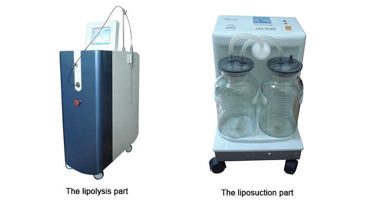 1064nm ND YAG Laser Lipolysis Liposuction Slimming Medical Machine (JCXY-B4)