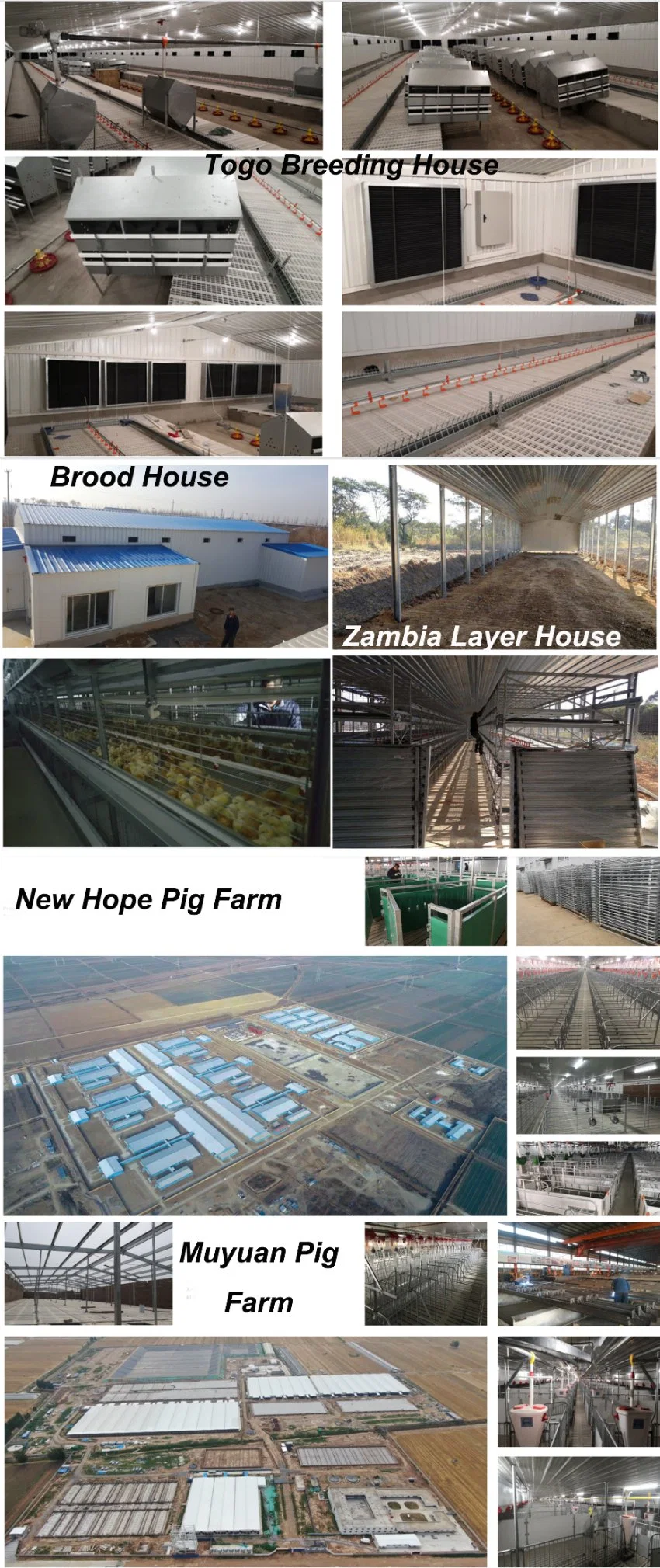 Steel Structure Prefabricated Building Poultry Farms for Chicken Broilers Layers