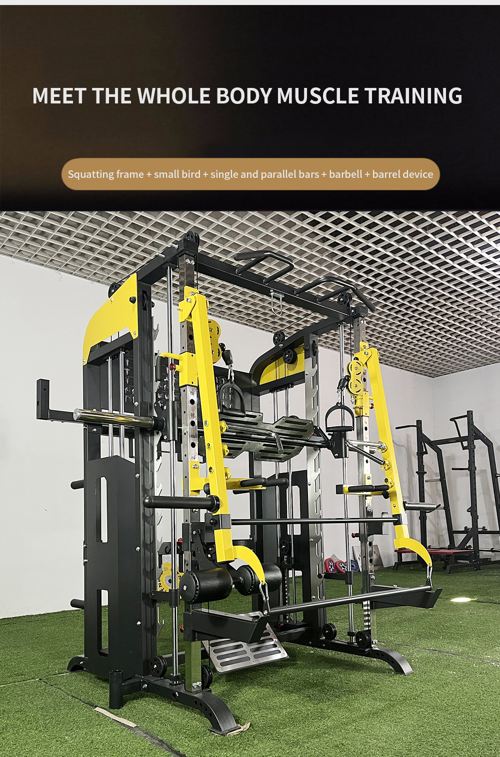 Fitness Multifunctional Strength Training Commercial Exercise Machine