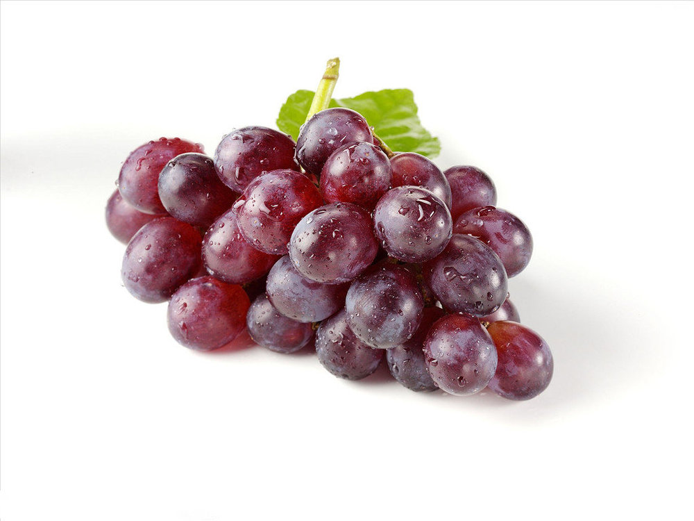 grape seed extract vitis vinifera