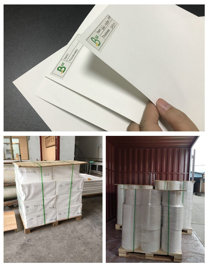 Waterproof 300um 350um Thick PP Coated Matte White Polypropylene Synthetic Paper 