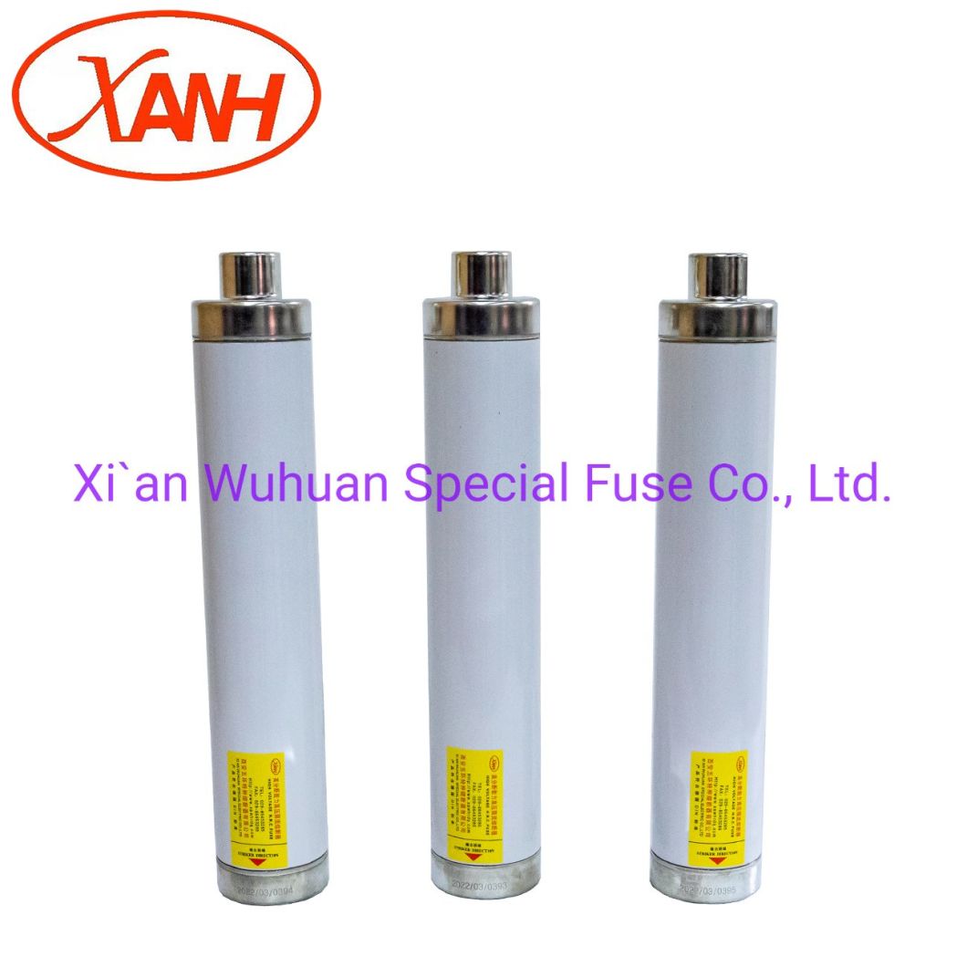 High Quality Current Limiting Medium Voltage Xrnt 12kv 63 AMP High Breaking Capacity Fuse