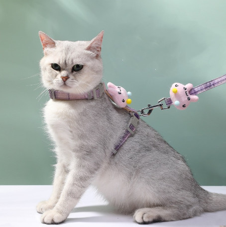 best cat walking harness