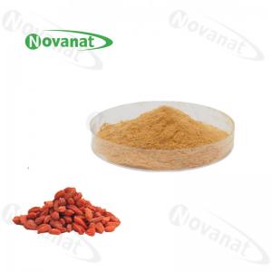 China Water Soluble Goji Berry Extract Powder 20% - 50% Polysaccharides / Clean Label on sale 