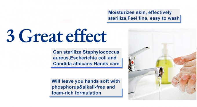 Big Volume Herbal Antiseptic Hand Gel , Hand Cleansing Gel Antibacterial Liquid