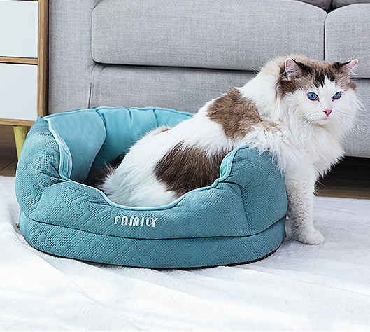 funky cat beds