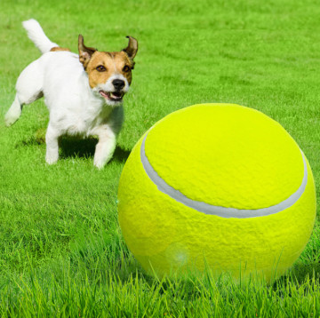 extra large tennis ball for dogs