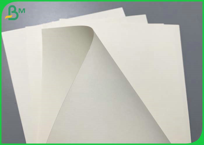 210g Printable White Raw Material Roll For Paper Cup With PE Coated 