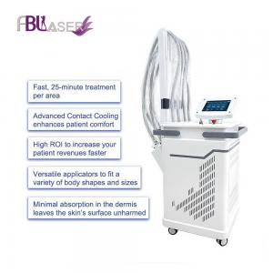 China Best Quality Fat Removal 1060nm Diode Laser Body Sculpture Beauty Salon Machine on sale 