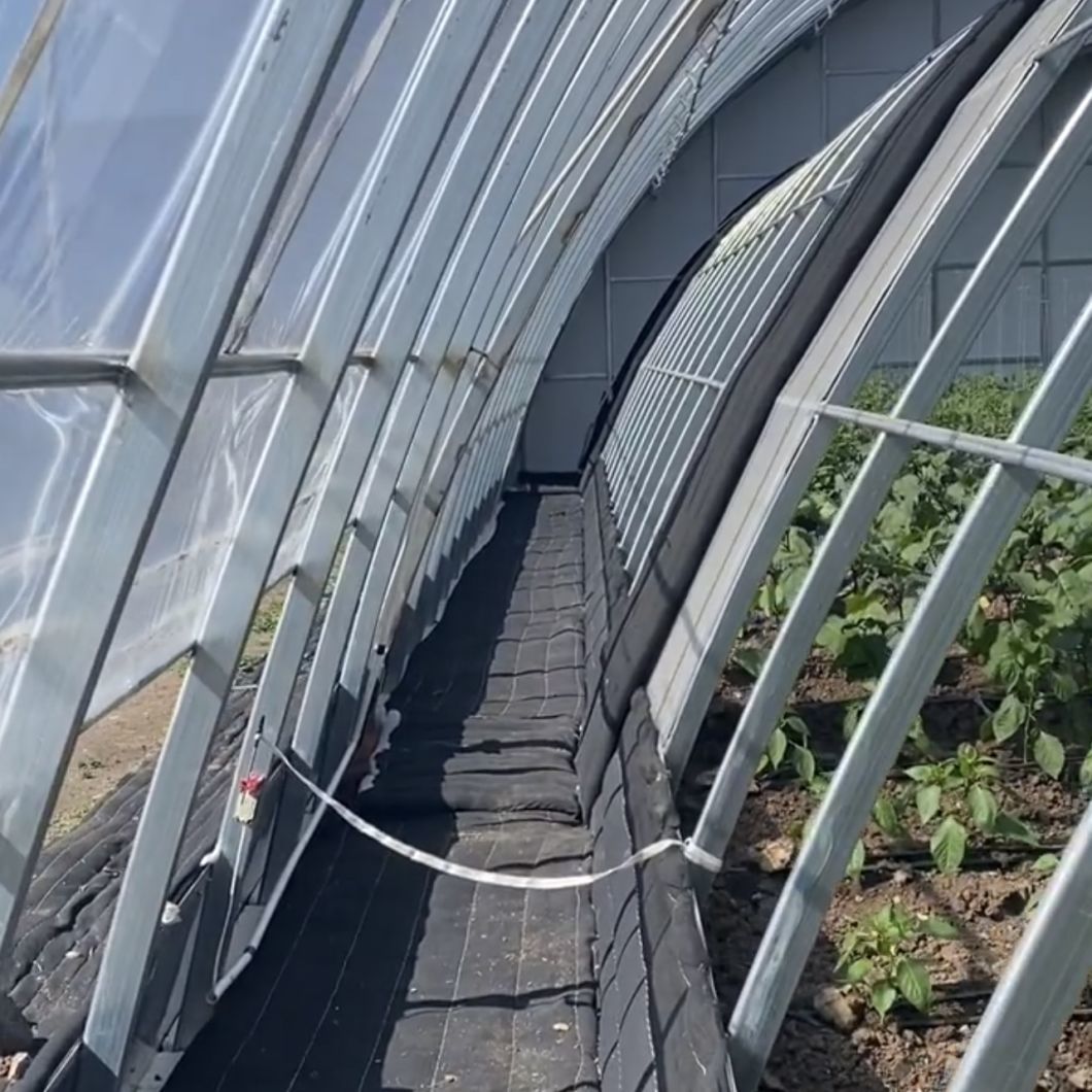 Aquaponics Sunlight Sparay Irrigation Greenhouse