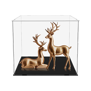 acrylic case display