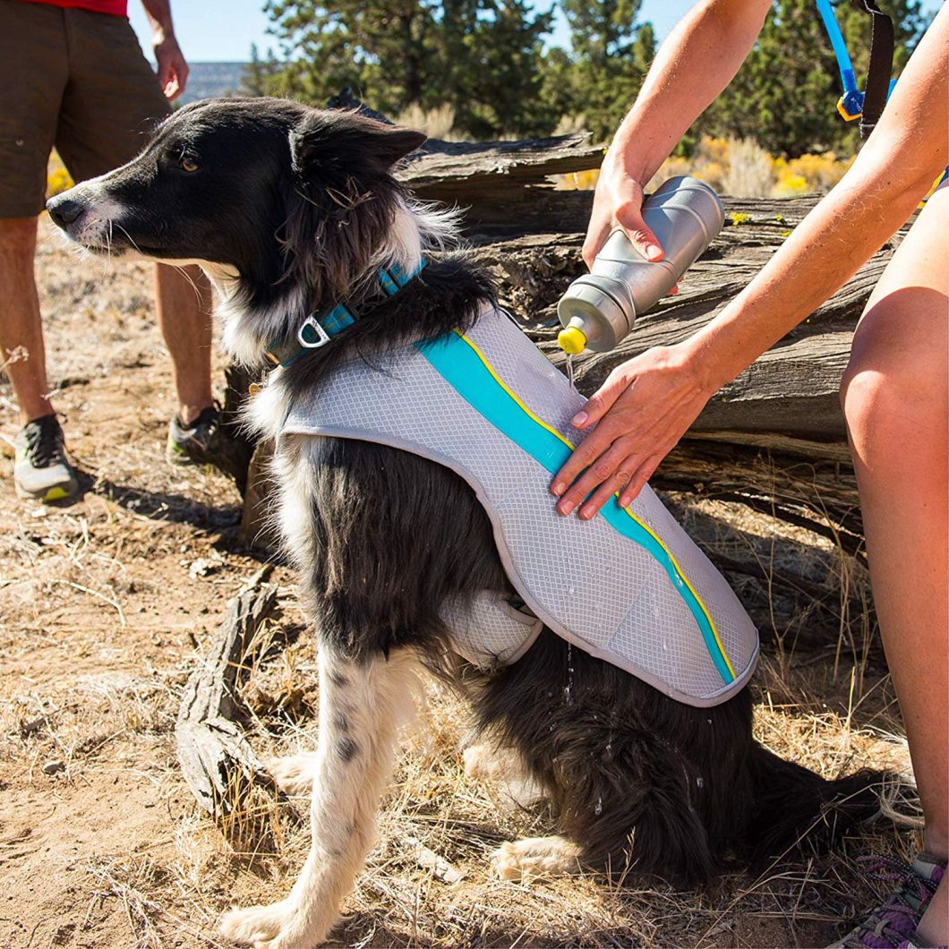 New Pet Apparel Dog Cooling Coat Dog Cooling Vest Wholesale Clothing