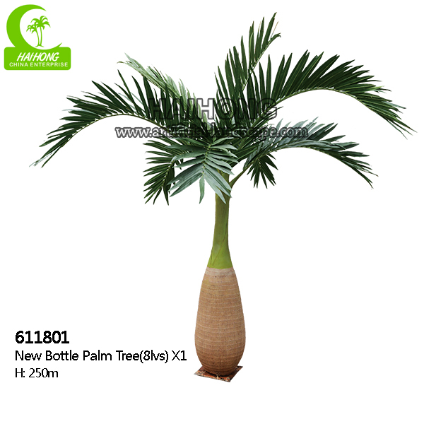 bottle palm tree