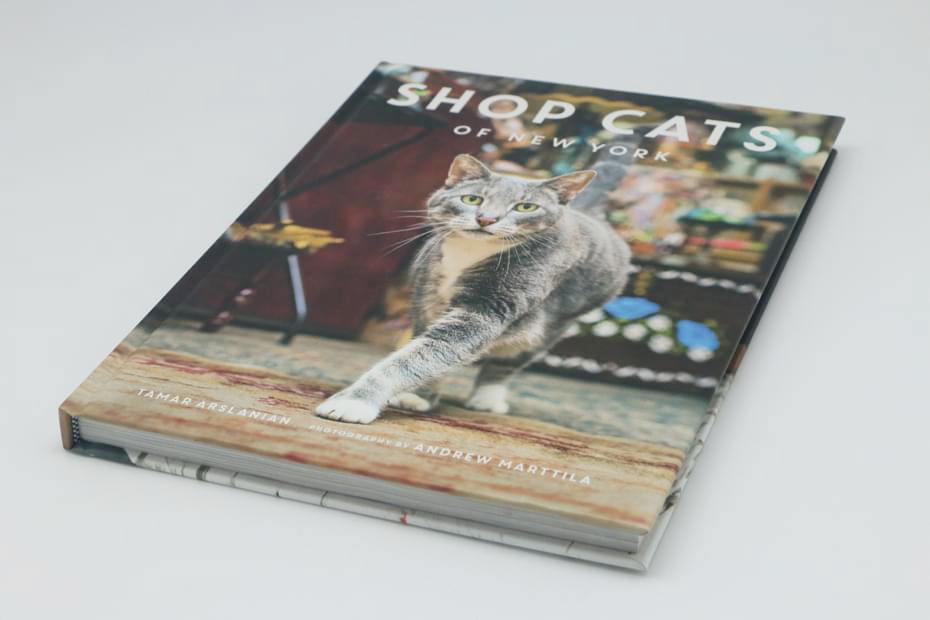 Cat Picture Album Printing