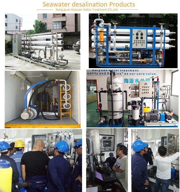Mobile Containerized Water Filter System Sea Water Seawater Desalination System for Drinking Irrigation