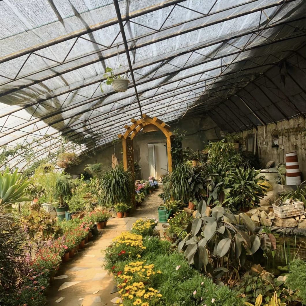 Flower Sunlight Greenhouse