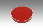 Pure Reddish Tomato Extract Lycopene Powder 5% 10% 20% Health Supplements