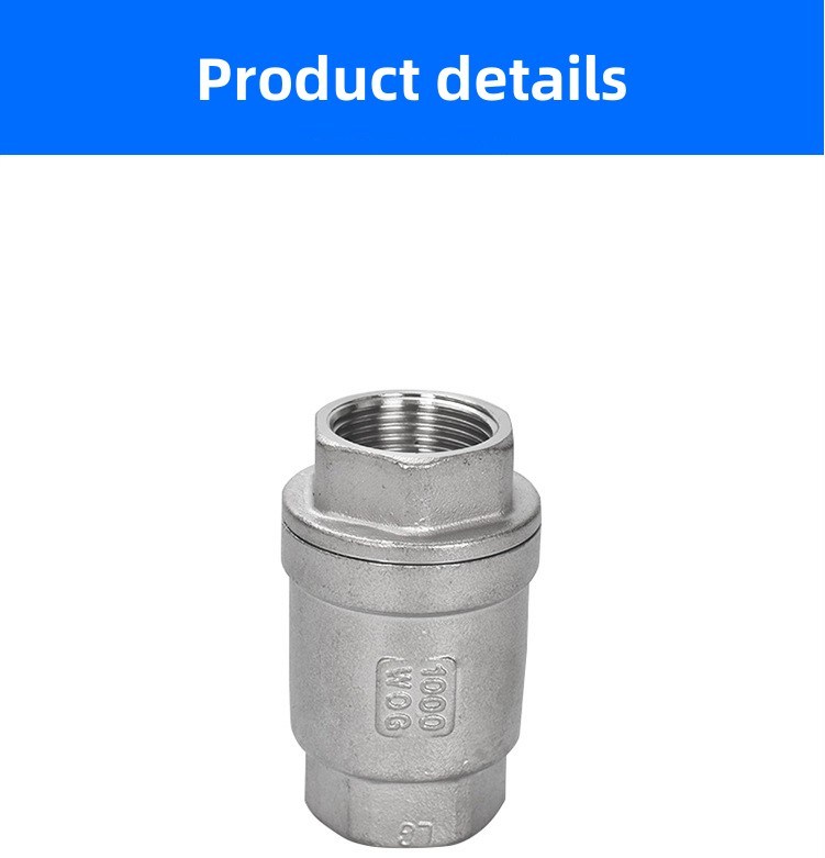 Manufacturer Direct Supply 304/316 Stainless Steel Vertical Check Valve