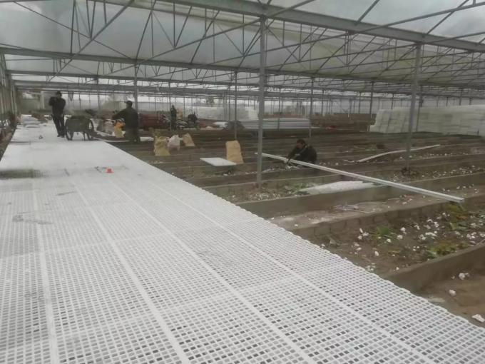 100% Pure PP Broiler 40mm Slatted Floor System In Poultry 2
