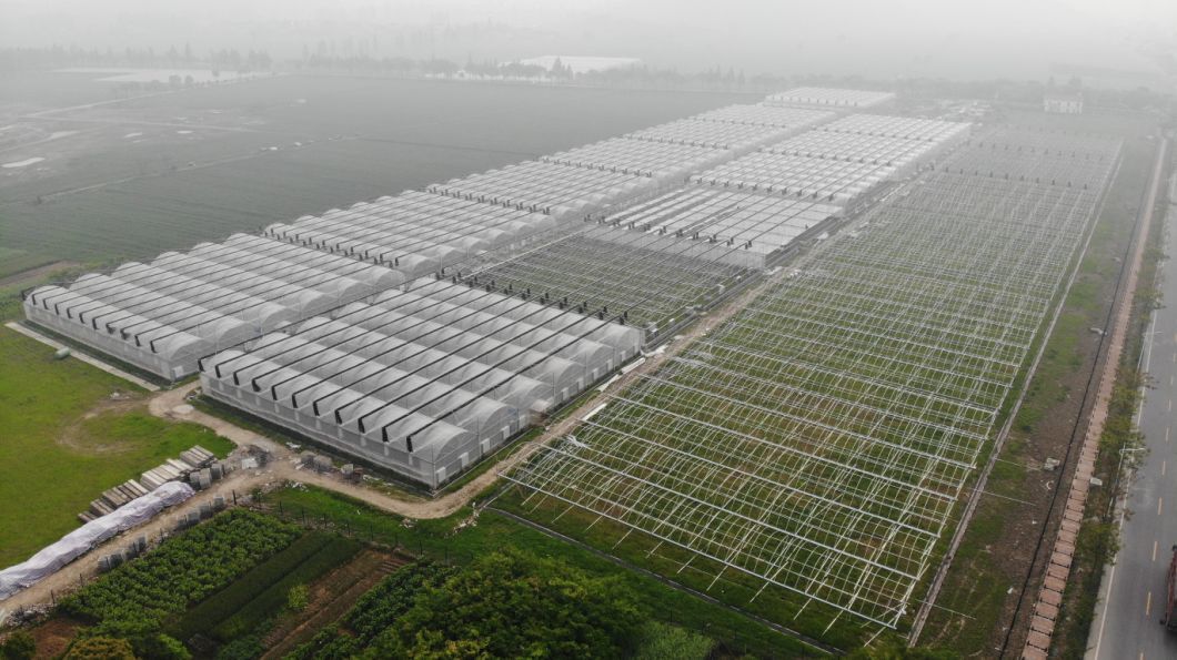 2023 Juxiang Agriculture Equipmenthydroponic Greenhouse with Cooling System for Sale