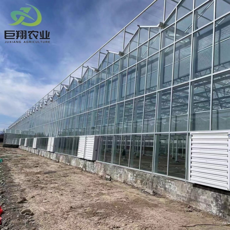 Hydroponics Greenhouse Double Layer Glass with Climate Control System for Exhibition/Agriculture/Farming