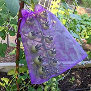 purple organza bag