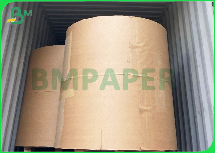 poly coated cup paper