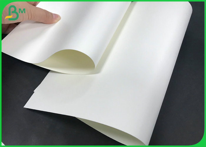 Single Side PE Coating 150gsm To 300gsm Cup Paper Rolls for Drinking cup