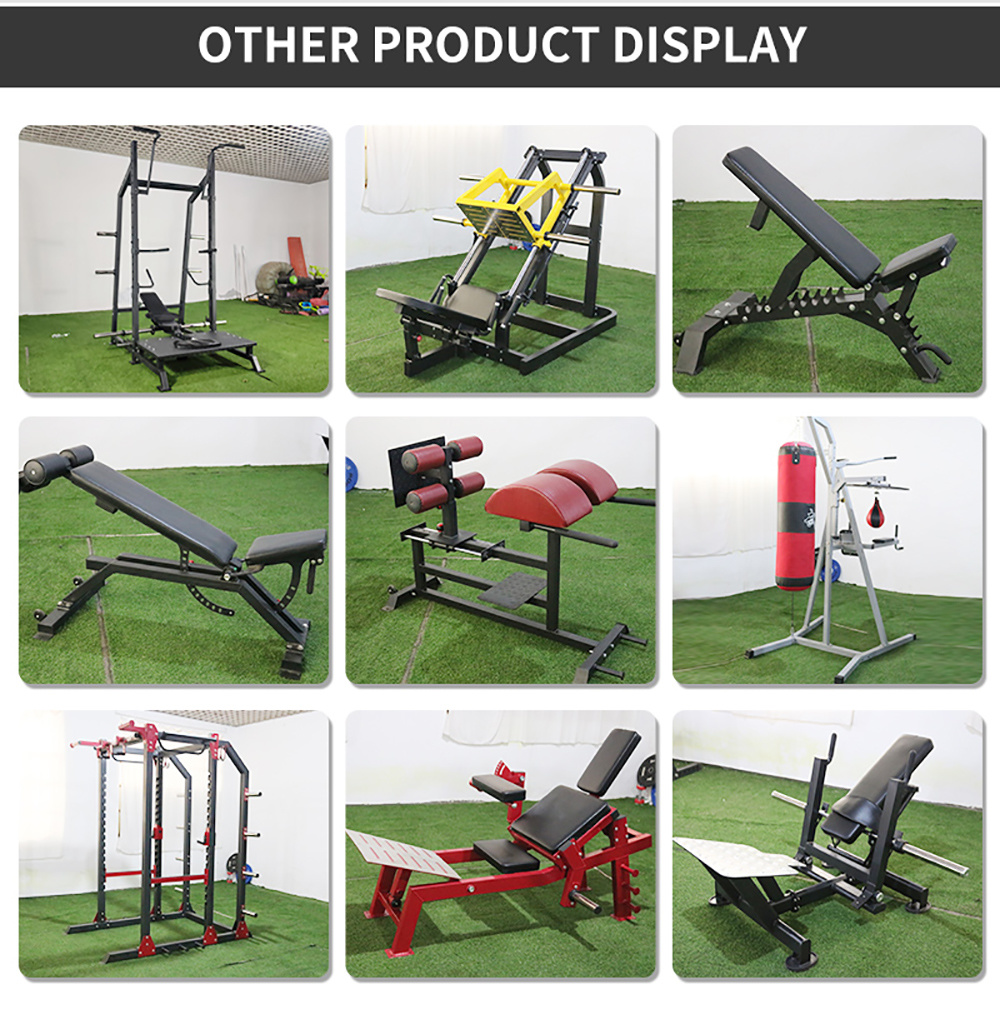 Newly Designed Fitness Indoor and Gym Use Equipment &amp; Exercise Weight Bench in Cheap