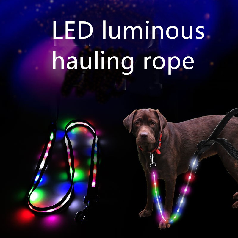 light up dog lead