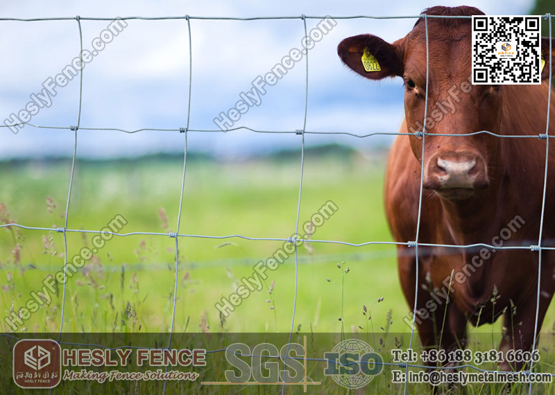 Cattle Fence Supplier China 