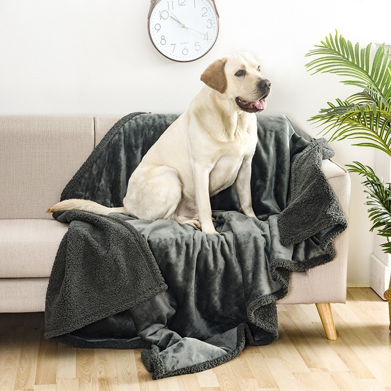 dog blankets for sale
