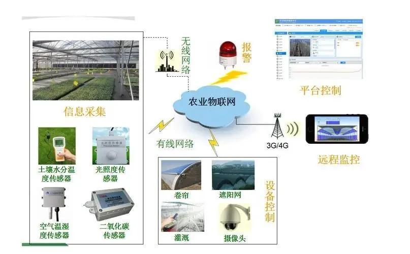 Multi-Span Film Agricultural Greenhouse for Large Scale Farming/Cultivation