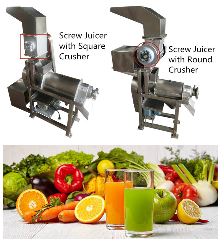 Stainless Steel Coconut Milk Screw Industrial Fruit Apple Watermelon Mango Pineapple Juice Crusher Juicer Extractor Machine