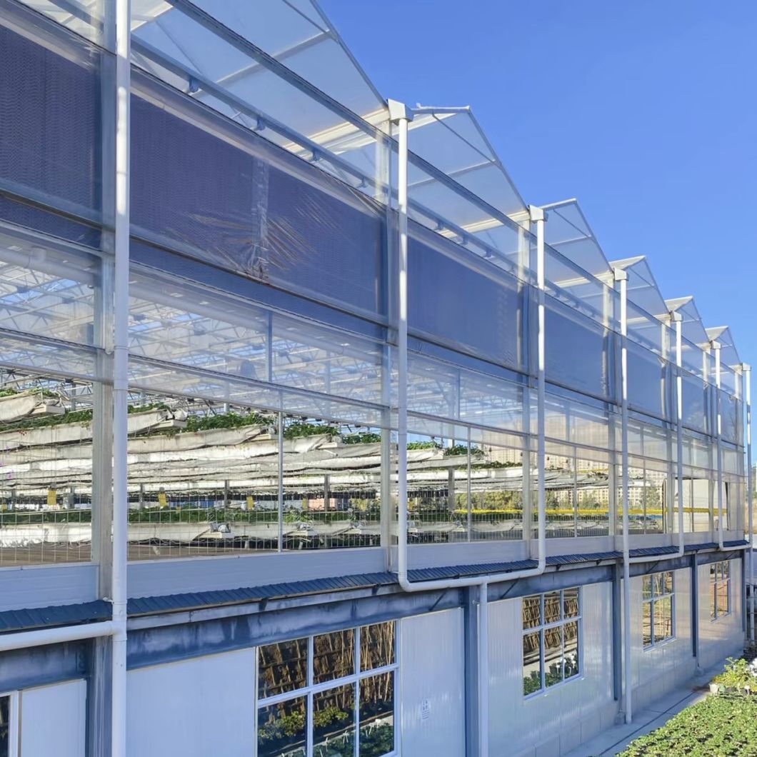Glass Roof Greenhouse for Flower Growing
