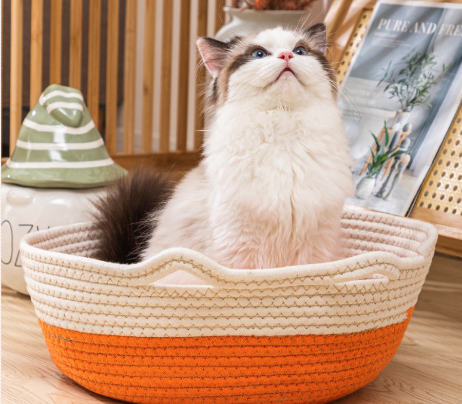 cat basket bed